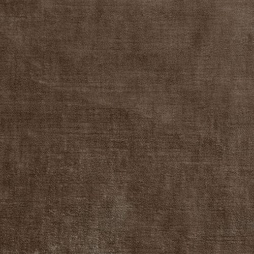 Velours Tsar Mocha Mousse